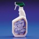 Scrub Free Mildew Stain Remover with Bleach