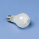 Incandescent Light Bulbs, 100 Watt